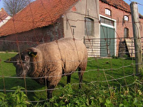 KONICA MINOLTA DIGITAL CAMERA