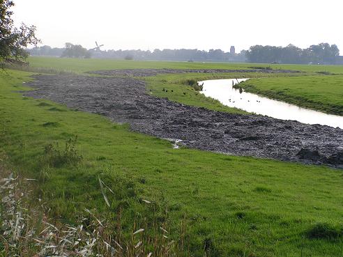 KONICA MINOLTA DIGITAL CAMERA