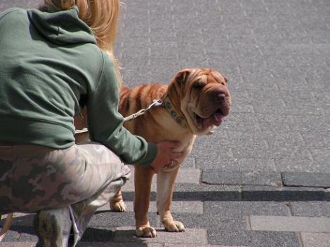 KONICA MINOLTA DIGITAL CAMERA