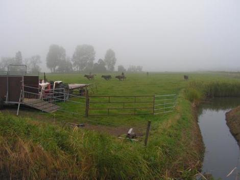 KONICA MINOLTA DIGITAL CAMERA