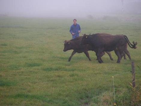 KONICA MINOLTA DIGITAL CAMERA