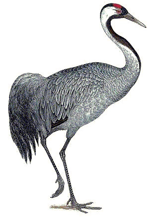 Geplaatst op 22 oktober 2007