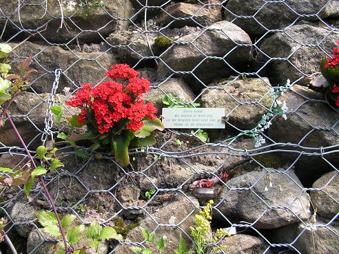 KONICA MINOLTA DIGITAL CAMERA