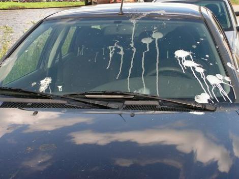 KONICA MINOLTA DIGITAL CAMERA