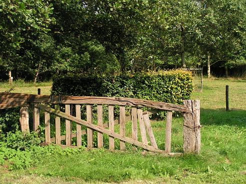 KONICA MINOLTA DIGITAL CAMERA