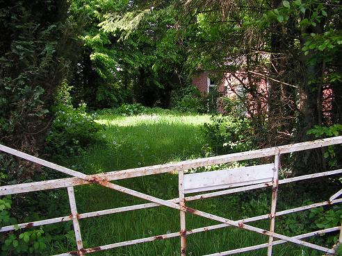 KONICA MINOLTA DIGITAL CAMERA