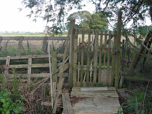 KONICA MINOLTA DIGITAL CAMERA