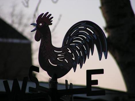 KONICA MINOLTA DIGITAL CAMERA