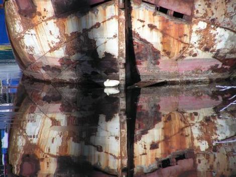 KONICA MINOLTA DIGITAL CAMERA