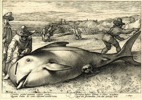 Geplaatst op 4 december 2007  a