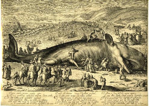 Geplaatst op 4 december 2007  c