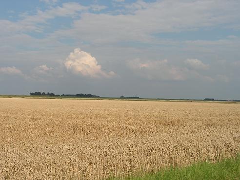 KONICA MINOLTA DIGITAL CAMERA