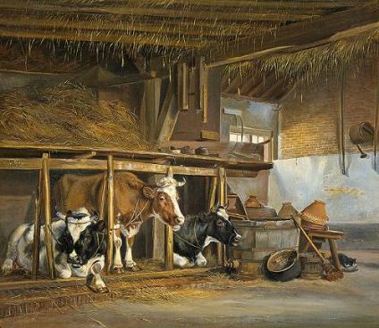 Geplaatst op 1 februari 2008