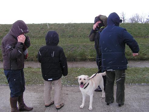 KONICA MINOLTA DIGITAL CAMERA