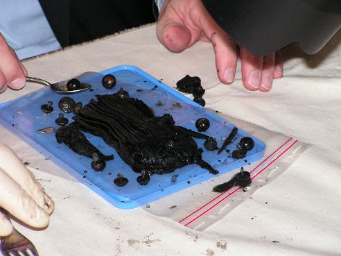 KONICA MINOLTA DIGITAL CAMERA