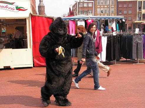 KONICA MINOLTA DIGITAL CAMERA