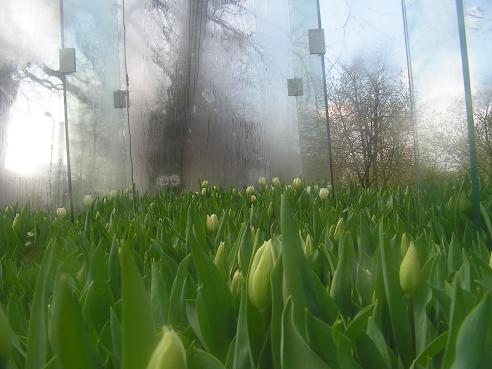 KONICA MINOLTA DIGITAL CAMERA