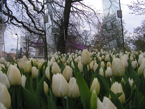 KONICA MINOLTA DIGITAL CAMERA