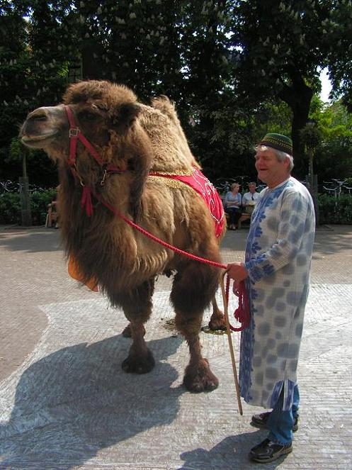 KONICA MINOLTA DIGITAL CAMERA