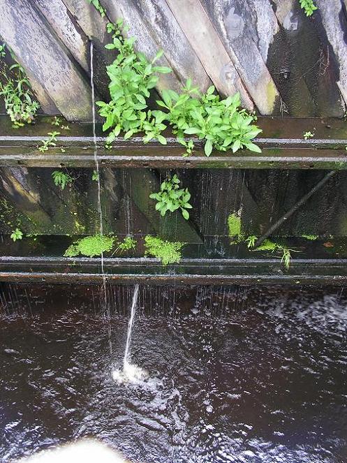 KONICA MINOLTA DIGITAL CAMERA