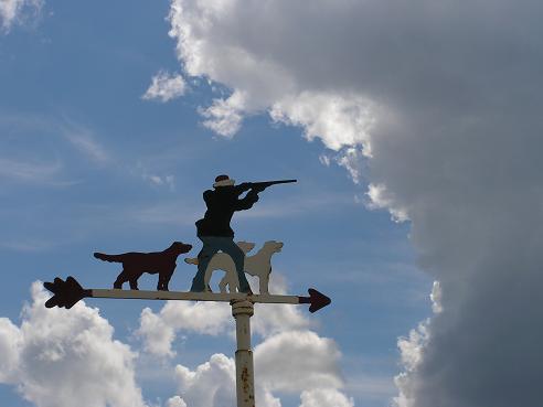 KONICA MINOLTA DIGITAL CAMERA