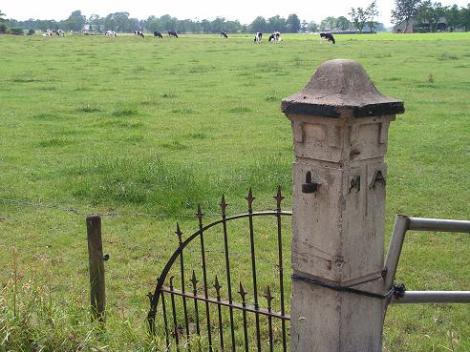 KONICA MINOLTA DIGITAL CAMERA