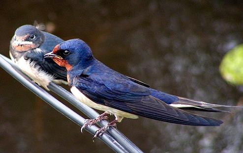 Geplaatst op 28 juni 2008  c