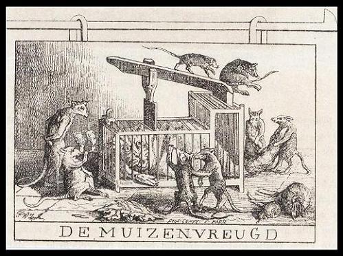 Geplaatst op 3 juni 2008