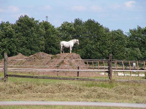 KONICA MINOLTA DIGITAL CAMERA