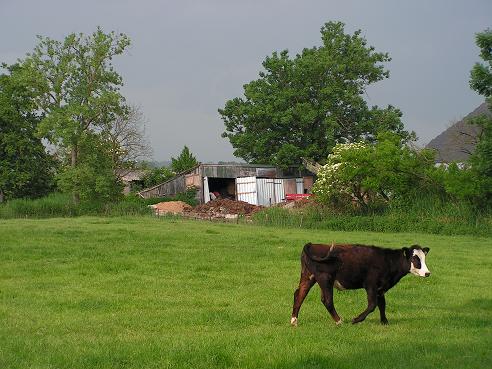 KONICA MINOLTA DIGITAL CAMERA