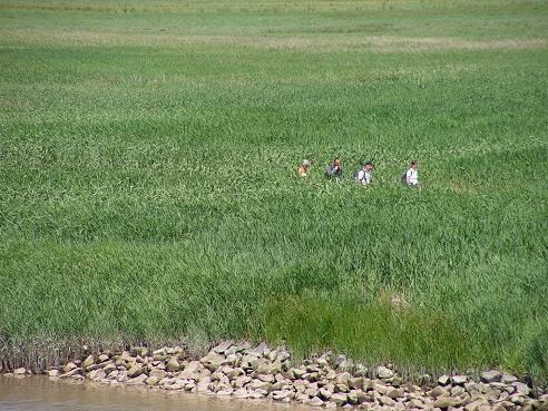 KONICA MINOLTA DIGITAL CAMERA