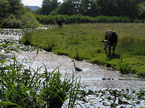 KONICA MINOLTA DIGITAL CAMERA