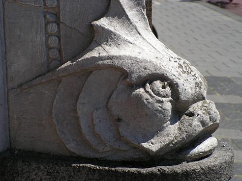 KONICA MINOLTA DIGITAL CAMERA