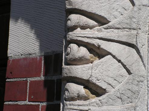 KONICA MINOLTA DIGITAL CAMERA