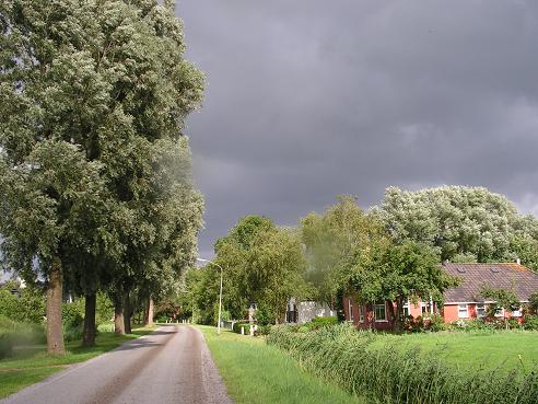 KONICA MINOLTA DIGITAL CAMERA