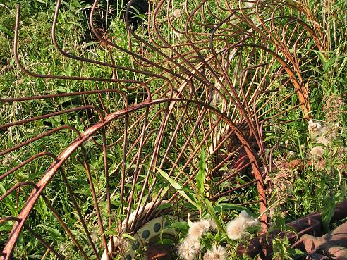 KONICA MINOLTA DIGITAL CAMERA