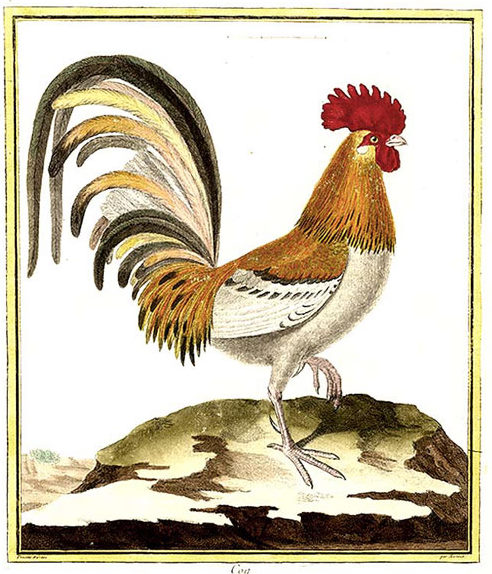 Geplaatst op 4 juli 2008  a