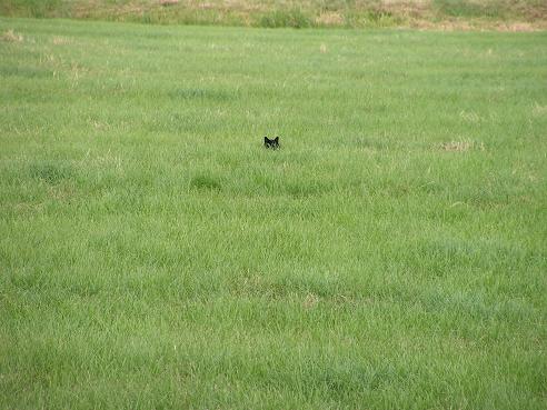 KONICA MINOLTA DIGITAL CAMERA