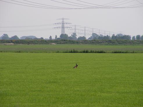 KONICA MINOLTA DIGITAL CAMERA