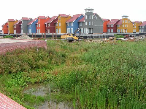 KONICA MINOLTA DIGITAL CAMERA