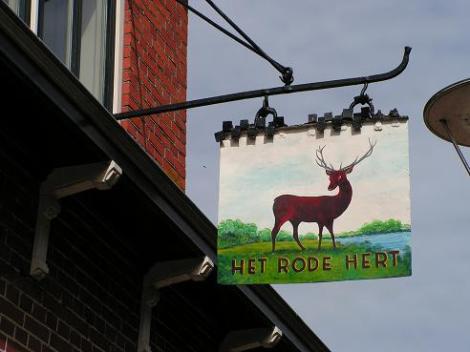 KONICA MINOLTA DIGITAL CAMERA