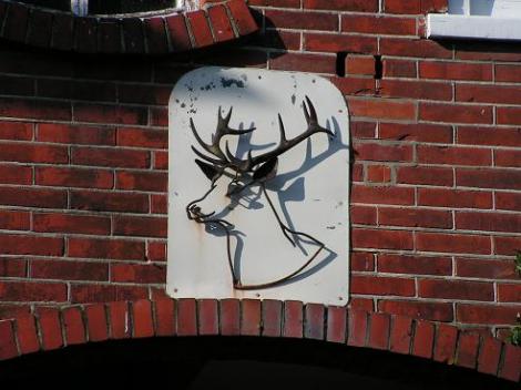 KONICA MINOLTA DIGITAL CAMERA