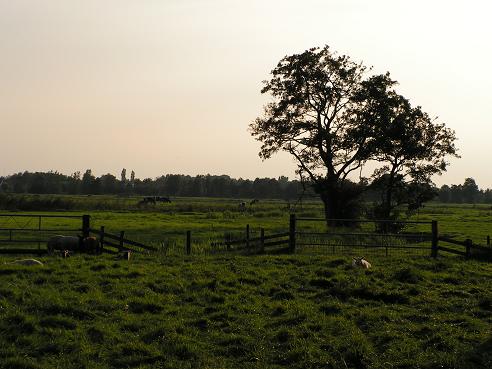 KONICA MINOLTA DIGITAL CAMERA