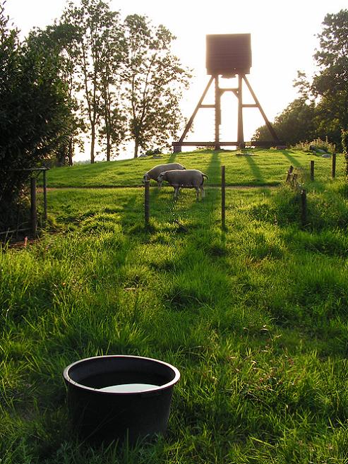 KONICA MINOLTA DIGITAL CAMERA