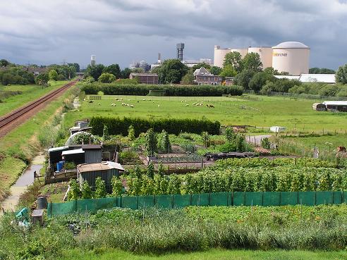 KONICA MINOLTA DIGITAL CAMERA