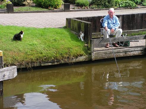 KONICA MINOLTA DIGITAL CAMERA