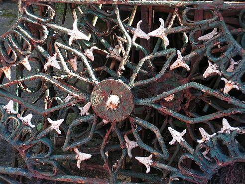 KONICA MINOLTA DIGITAL CAMERA