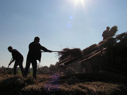 KONICA MINOLTA DIGITAL CAMERA