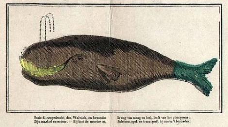 Geplaatst op 6 september 2008