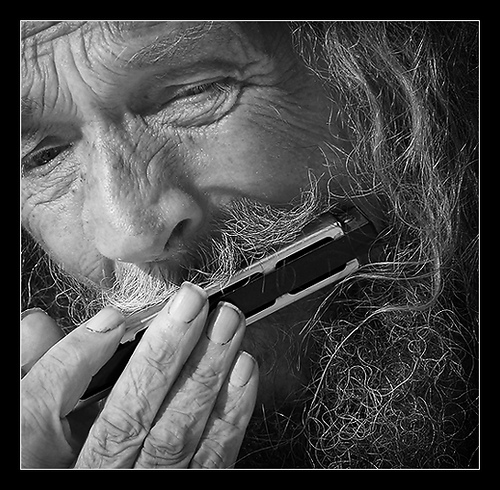 Geplaatst op 7 september 2008  harmonicaman